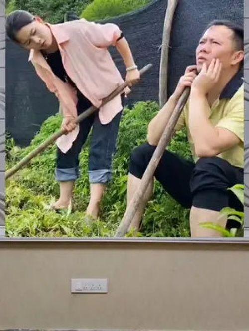 娱乐八卦是吃瓜群众,吃瓜群众带你领略八卦风云  第1张